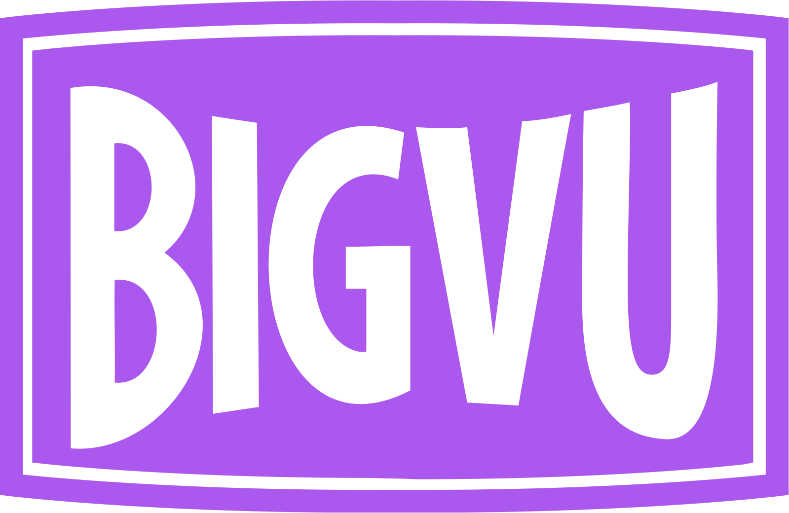 bigvu logo