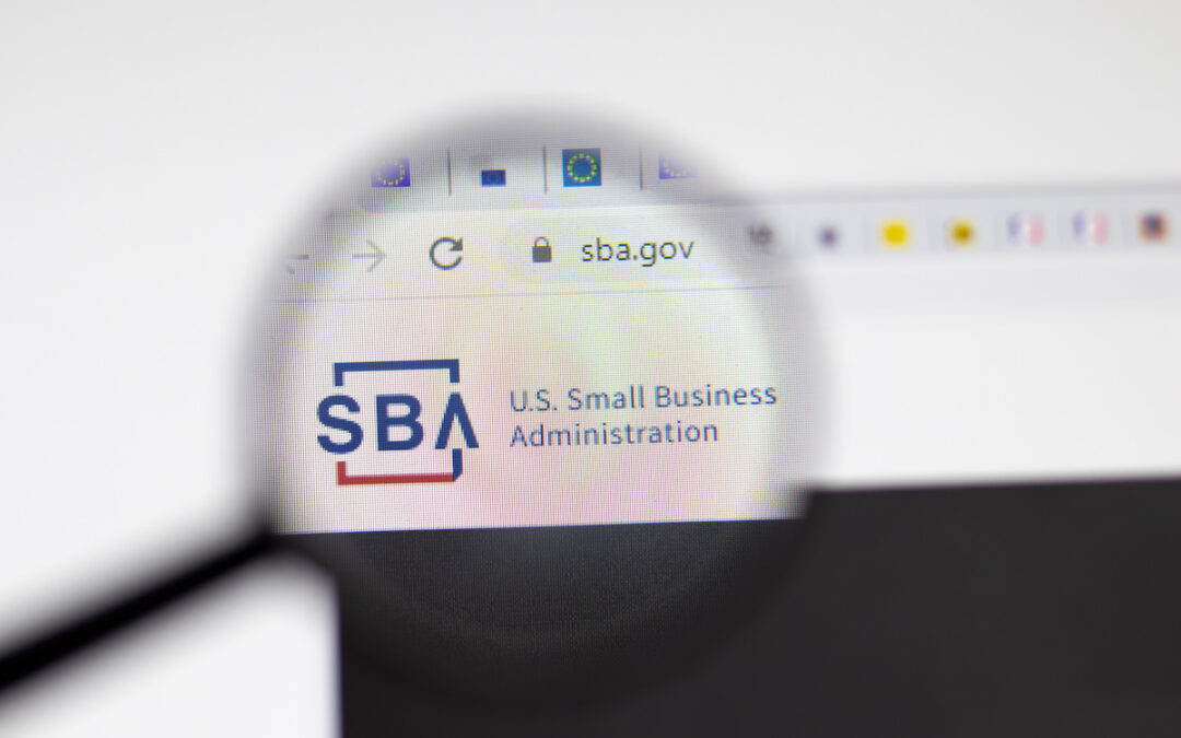 SBA-Small Business In America