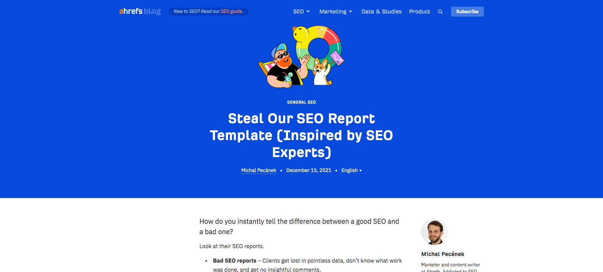 Steal our SEO Report